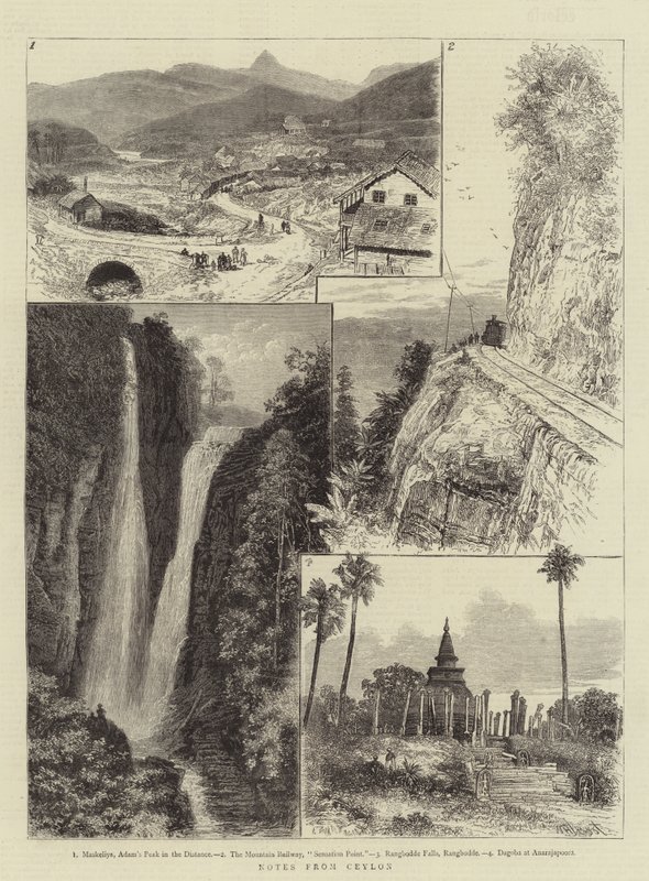 Ceyloni feljegyzések alkotó: William Henry James Boot