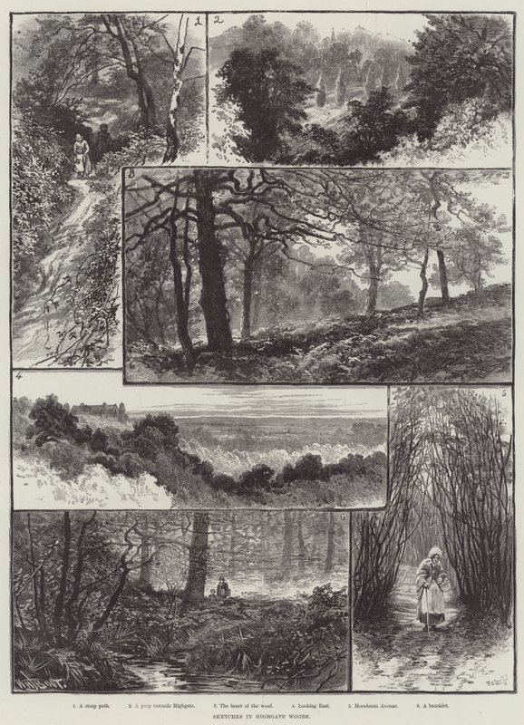 Vázlatok Highgate Woodsban alkotó: William Henry James Boot
