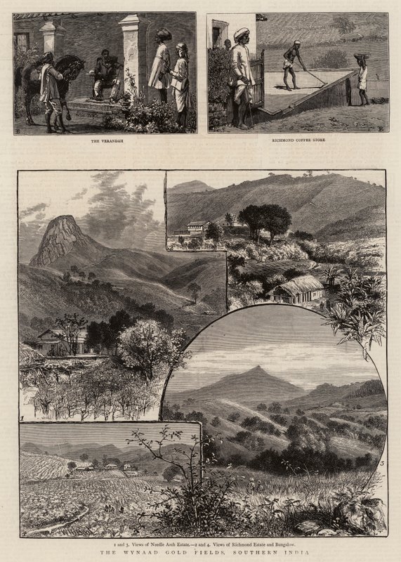 A Wynaad aranylelőhelyek, Dél-India alkotó: William Henry James Boot