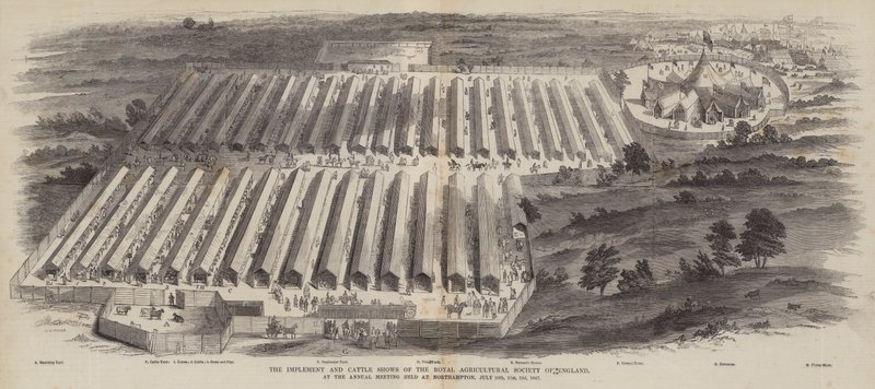 Az Angliai Királyi Mezőgazdasági Társaság eszköz- és szarvasmarha-bemutatói a Northamptonban, 1847. július 20-án, 21-én és 22-én tartott éves találkozón alkotó: William Henry Pike