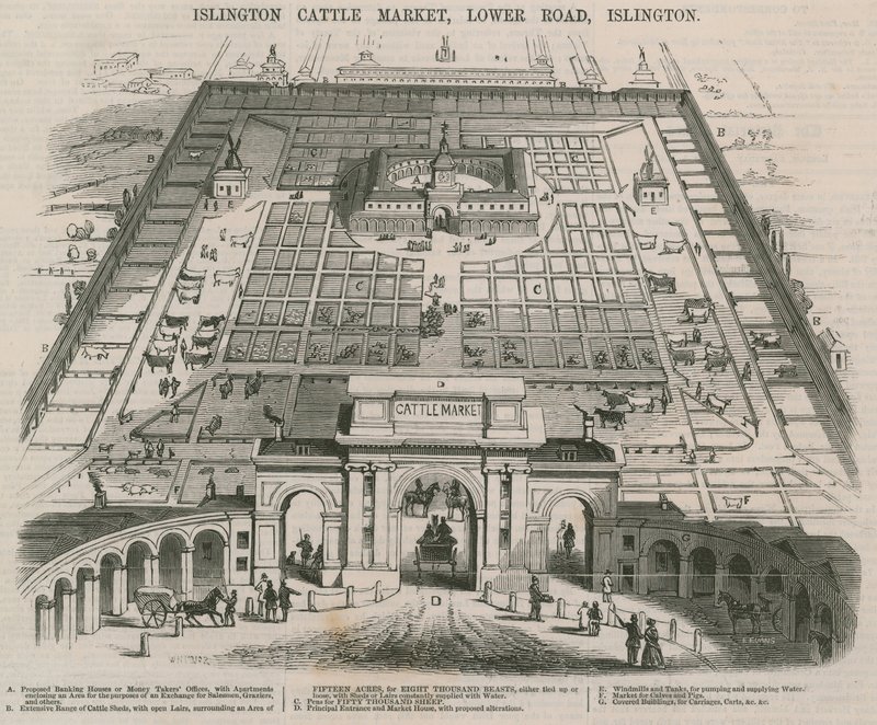 Islington Cattle Market, Lower Road, Islington, London alkotó: William Henry Prior