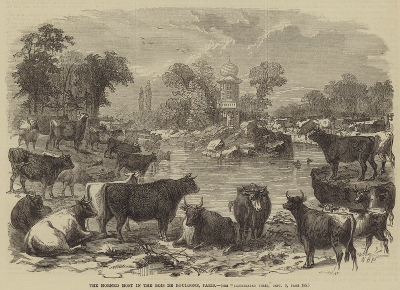 A szarvas fogadó a Bois de Boulogne-ban, Párizsban alkotó: William Henry Prior