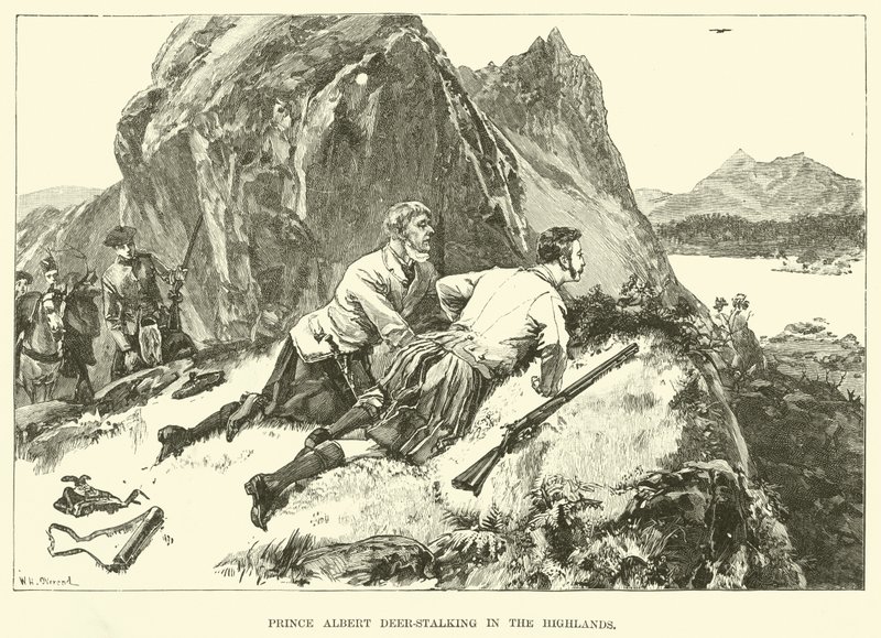 Albert herceg szarvasvadászat a Felvidéken (metszet) alkotó: William Heysham (after) Overend
