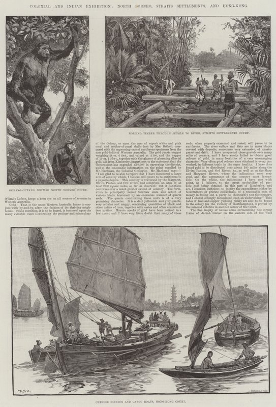 Gyarmati és Indiai Kiállítás, Észak-Borneó, Straits Settlements és Hong-Kong alkotó: William Heysham Overend