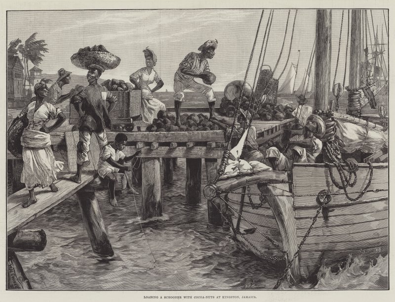 Kakaódiós szkúner betöltése Kingstonban, Jamaicában alkotó: William Heysham Overend