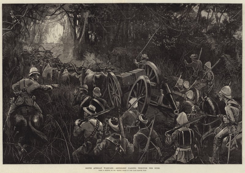 Dél-afrikai hadviselés, a tüzérség áthalad a bozótosban alkotó: William Heysham Overend