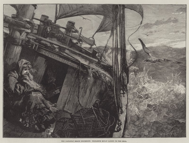 A Castaway Smack Columbine, Elizabeth Mouat nekicsapott a fedélzetnek alkotó: William Heysham Overend