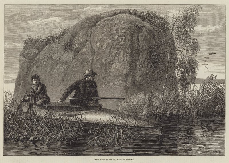 Wild Duck Shooting, Nyugat-Írország metszet alkotó: William Heysham Overend