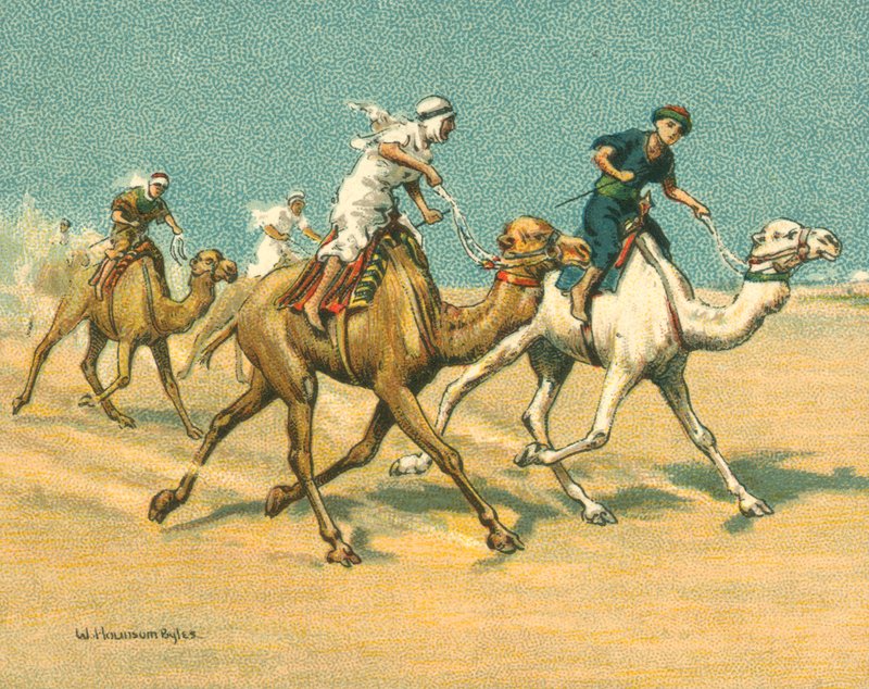 Történelmi és modern versenyek, tevefajták (chromolitho) alkotó: William Hounsom Byles
