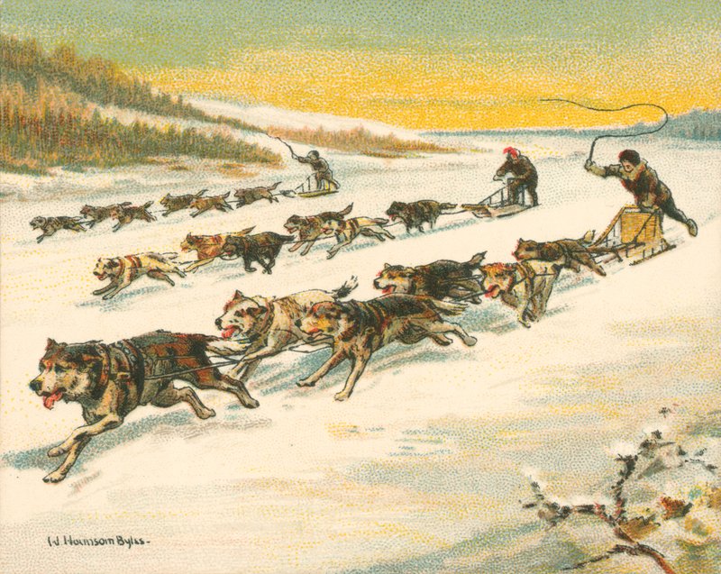 Történelmi és modern versenyek, kanadai kutyaszánverseny (chromolitho) alkotó: William Hounsom Byles