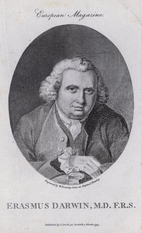Erasmus Darwin angol orvos, természetfilozófus, költő és a rabszolga-kereskedelem felszámolásáért harcoló (metszet) alkotó: William III (after) Bromley