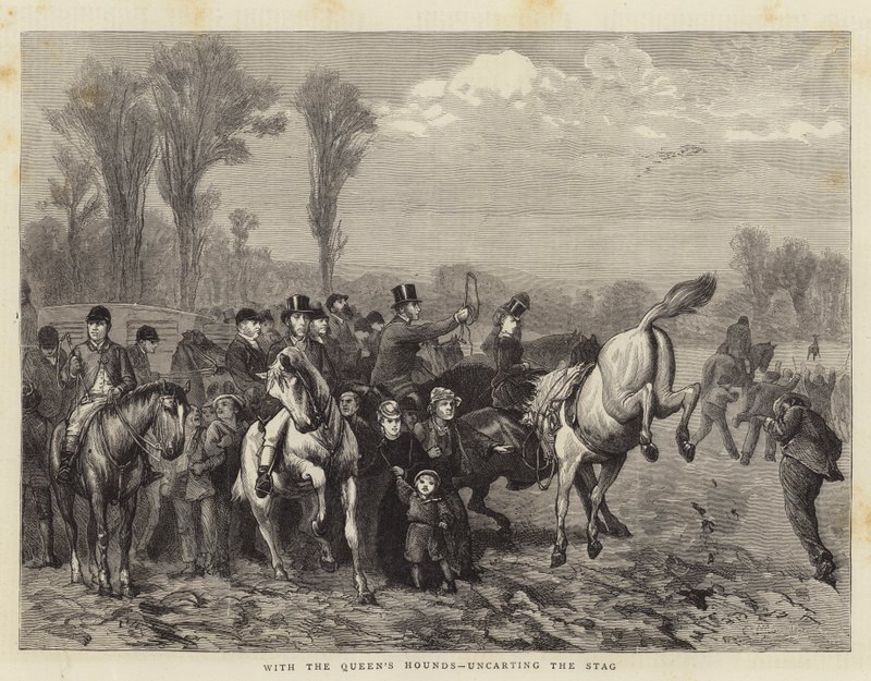A királynő kutyáival, a szarvas szarvas eltávolításával alkotó: William III Bromley