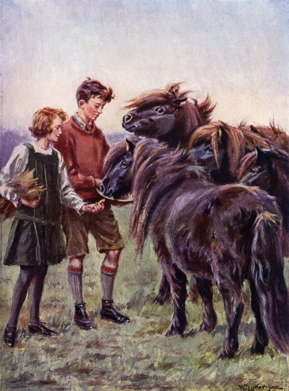 Fiú és lány shetlandi pónikat etet (színes litho) alkotó: William Luker