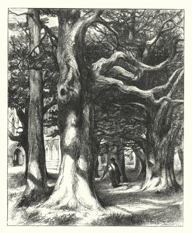 Út a Káptalanházhoz (metszet) alkotó: William Paton Burton