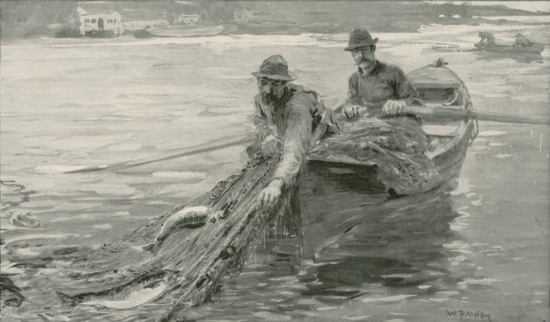 Lazacok hálózása a Fraser folyón, Brit Kolumbia alkotó: William Rainey