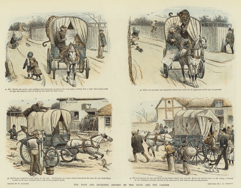 A tigris és a hordozó igaz és eltérítő története (chromolitho) alkotó: William Ralston