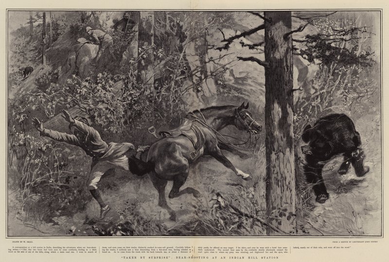 Meglepetés, Medvelövés egy Indian Hill állomáson készítette alkotó: William Small