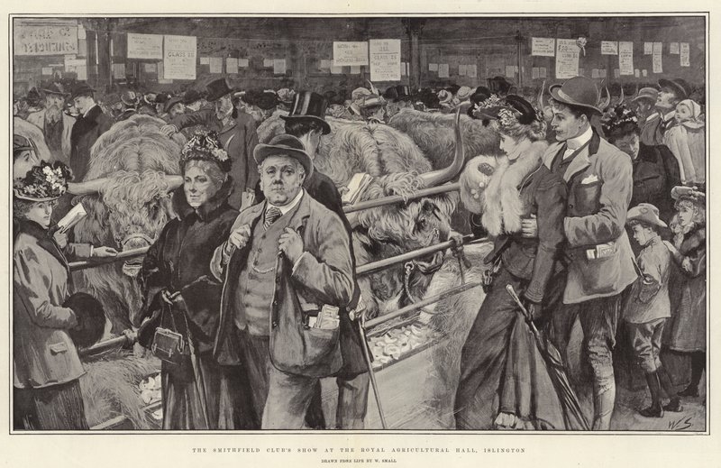 A Smithfield Club bemutatója a Royal Agricultural Hallban, Islington alkotó: William Small