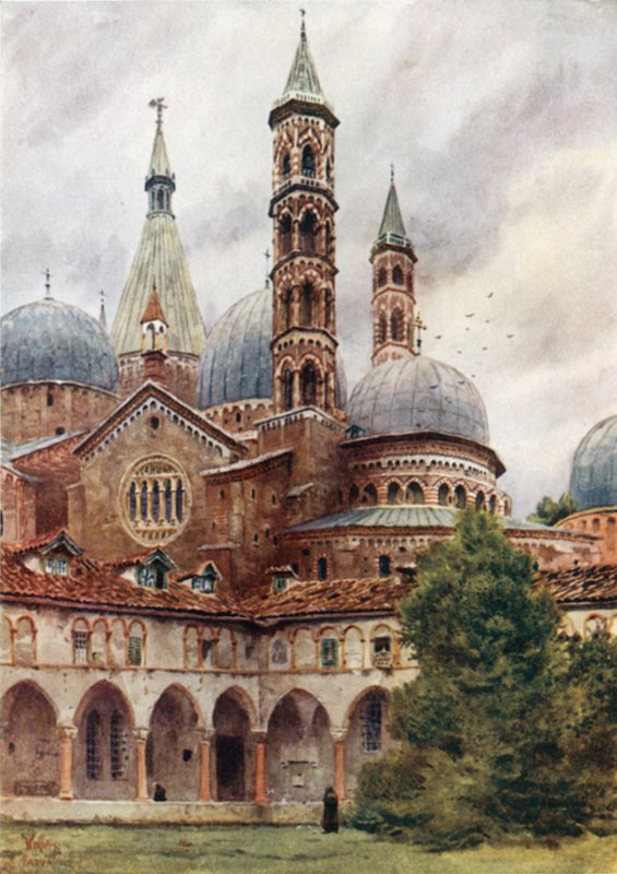 Padua. S. Antonio (colour litho)   1408171   hu       hungarian Successfully Translated  Original: Townsends Sandpiper Translat: Townsend