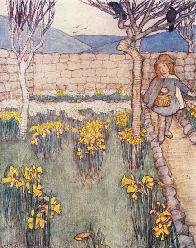Kertészeti gyermekkönyv: Nárciszok (színes litográfia) alkotó: Winifred Cayley Robinson