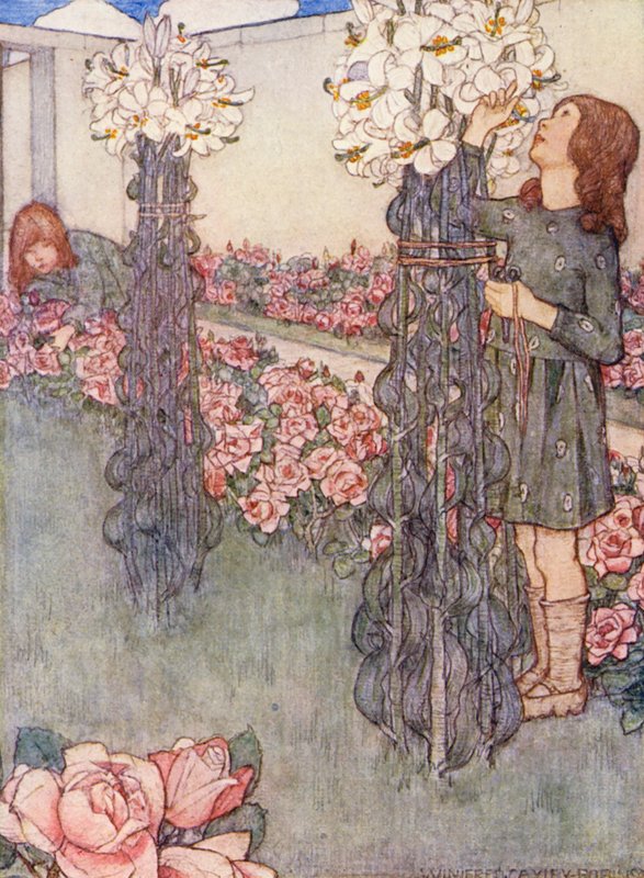 Kertészeti gyermekkönyv: Rózsák és liliomok (színes litográfia) alkotó: Winifred Cayley Robinson