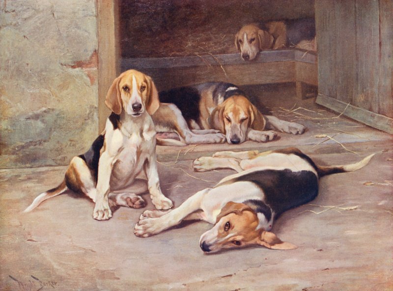 Puppy Days (színes litográfia) alkotó: Wright Barker