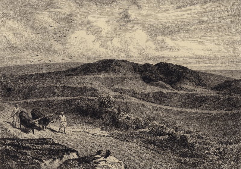Példabeszéd a Magvetőről alkotó: after Albert Robida
