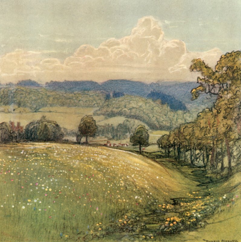 Sussex alkotó: after Donald Maxwell