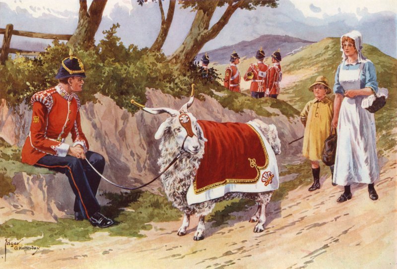 Billy, a walesi ezred házikecskéje alkotó: after Edgar Alfred Holloway