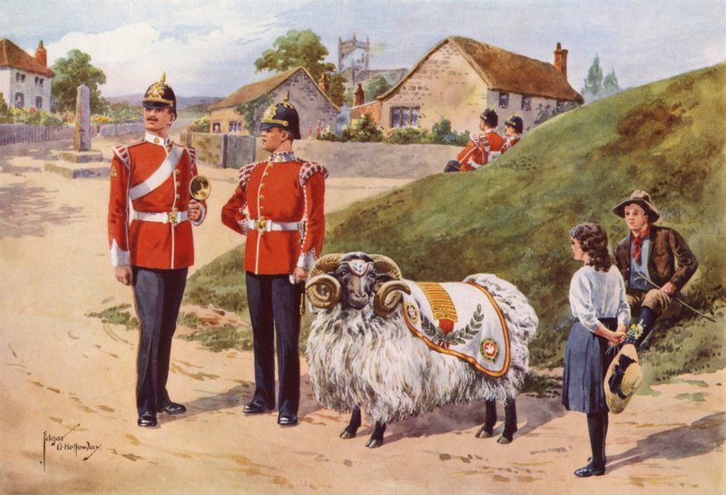 Derby Tom, a Sherwood Foresters kisállat kosa alkotó: after Edgar Alfred Holloway