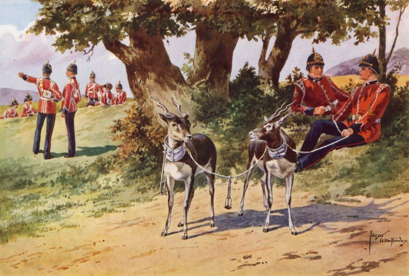 A Royal Warwickshire Ezred házi antilopjai alkotó: after Edgar Alfred Holloway