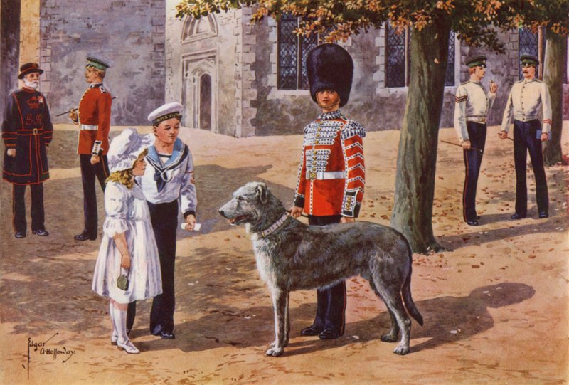 Az ír gárda kisállat farkaskutyája a londoni Towerben alkotó: after Edgar Alfred Holloway