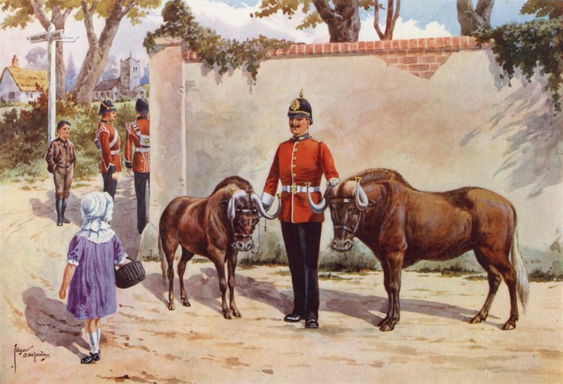 Gnúk (vagy fehérfarkú gnu), a dél-walesi határőrök háziállatai alkotó: after Edgar Alfred Holloway