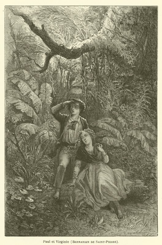 Paul és Virginia, Bernardin of Saint-Pierre alkotó: after Emile Antoine Bayard