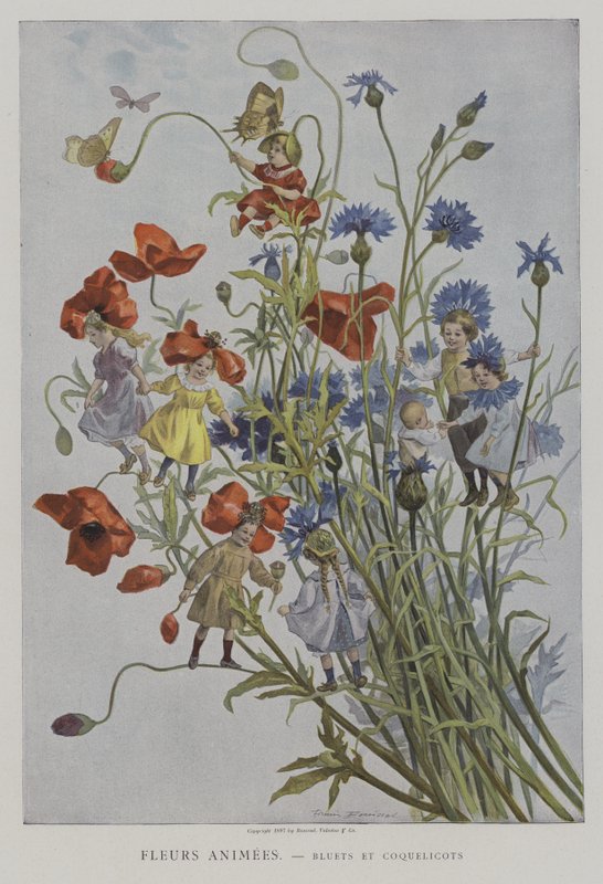 Fleurs Animees. Bleuets et Coquelicots. (Animált virágok: búzavirág és mák) alkotó: after Firmin Bouisset