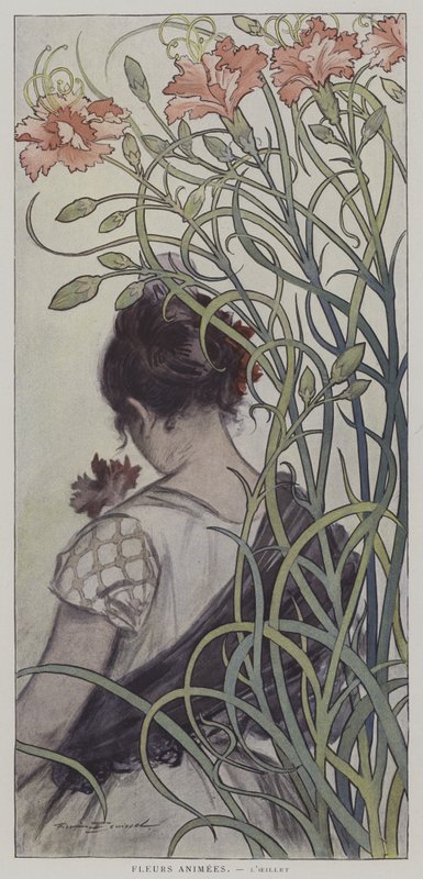 Fleurs Animees. LOeillet. (Animált virágok: a szegfű) alkotó: after Firmin Bouisset
