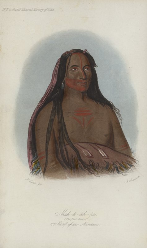 Mah-to-toh-pa, A négy medve, a mandánok 2. főnöke (akvatinta) alkotó: after George Catlin