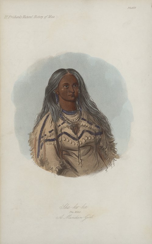 Sha-ko-ka, The Mint, A Mandan Girl (akvatinta) alkotó: after George Catlin