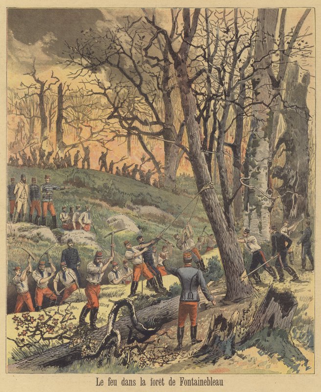 Tűz a fontainebleau-i erdőben alkotó: after Henri Meyer