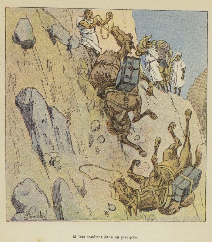 Öszvérek zuhannak át egy szakadékon alkotó: after Louis Charles Bombled