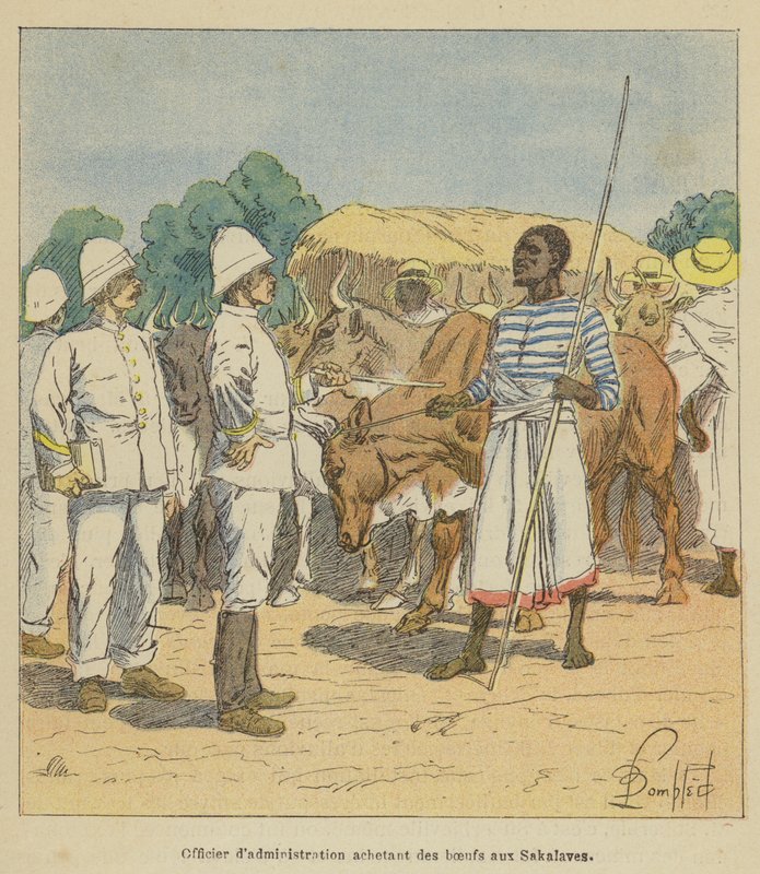 Adminisztrációs tiszt ökröket vásárol a Szakalavestől alkotó: after Louis Charles Bombled