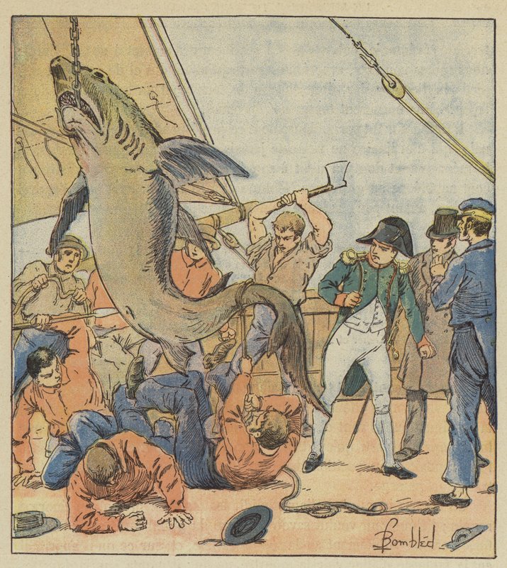 Cápa elfogása alkotó: after Louis Charles Bombled