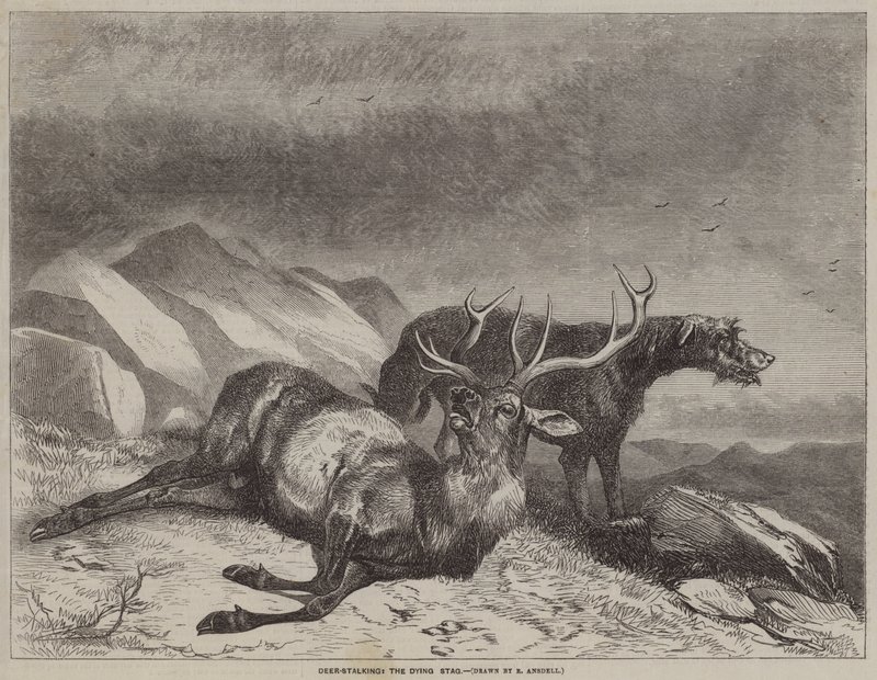 Deer-Stalking, a haldokló szarvasbika alkotó: after Richard Ansdell