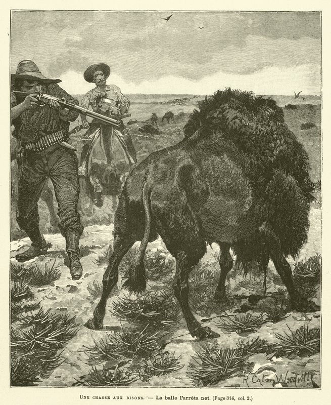 Bölényvadászat alkotó: after Richard Caton II Woodville