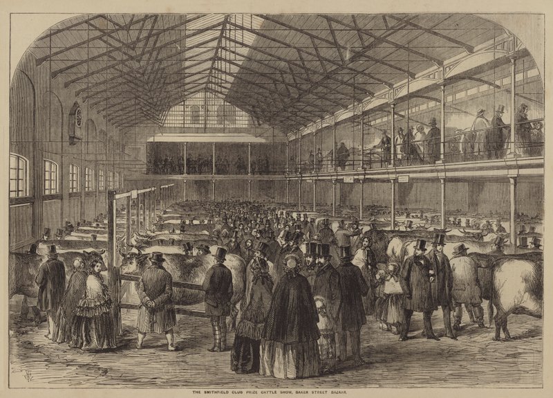 A Smithfield Club Prize szarvasmarhakiállítás, Baker Street Bazaar alkotó: after Thomas Harrington Wilson