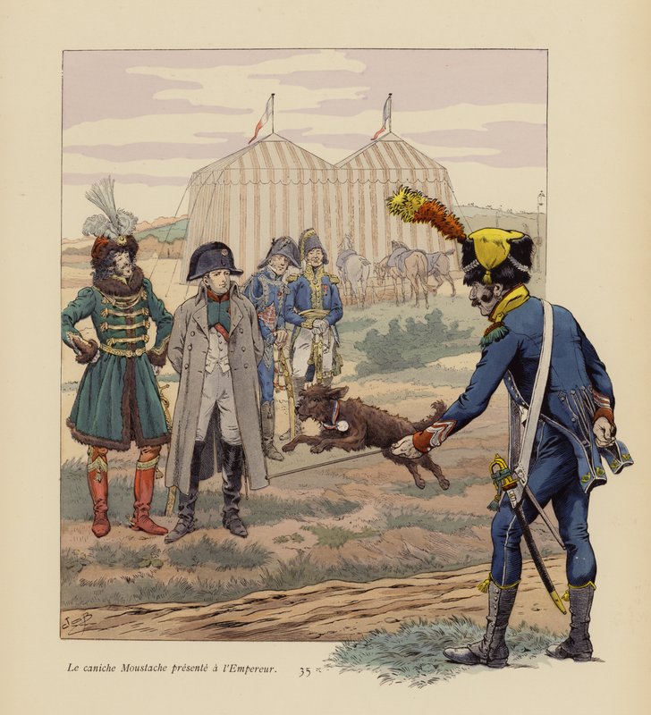 A Napóleonnak ajándékozott Bajusz kutya (színes litográfia) alkotó: pseudonym for Onfray de Breville Jacques Job
