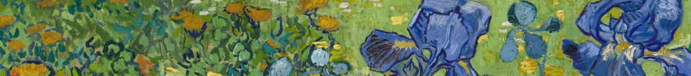 Íriszek (Vincent van Gogh)