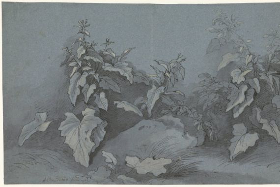 Adriaan Boudewyns