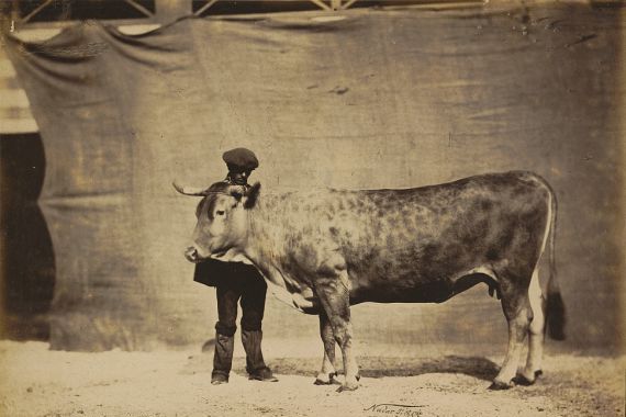 Adrien Alban Tournachon
