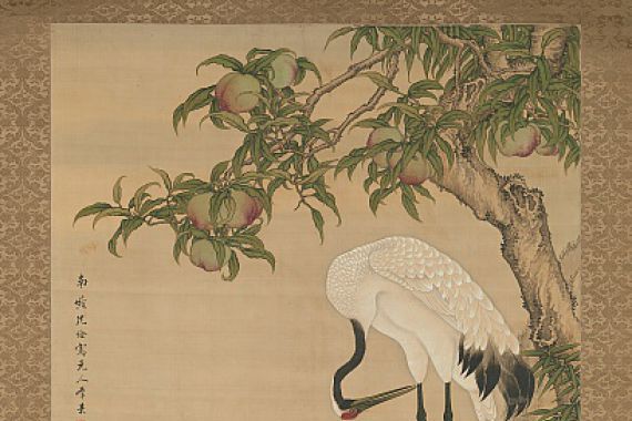 After Shen Quan